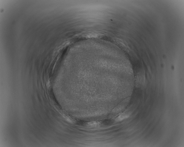 X0000077290335200611031556