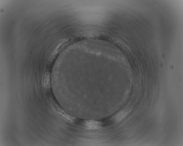 X0000077290336200611031556