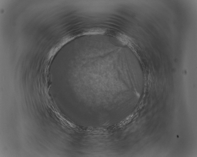 X0000077290337200611031556