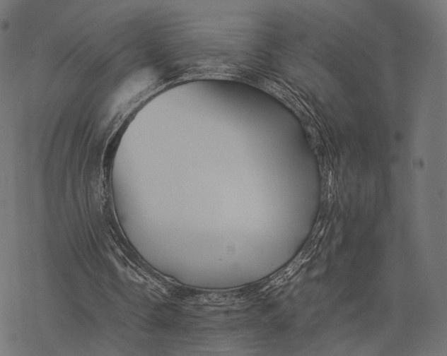 X0000077290338200611031556