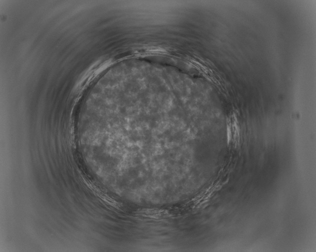 X0000077290339200611031556