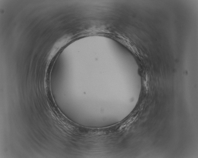 X0000077290340200611031556