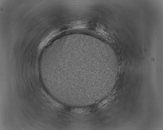 X0000077290341200611031556