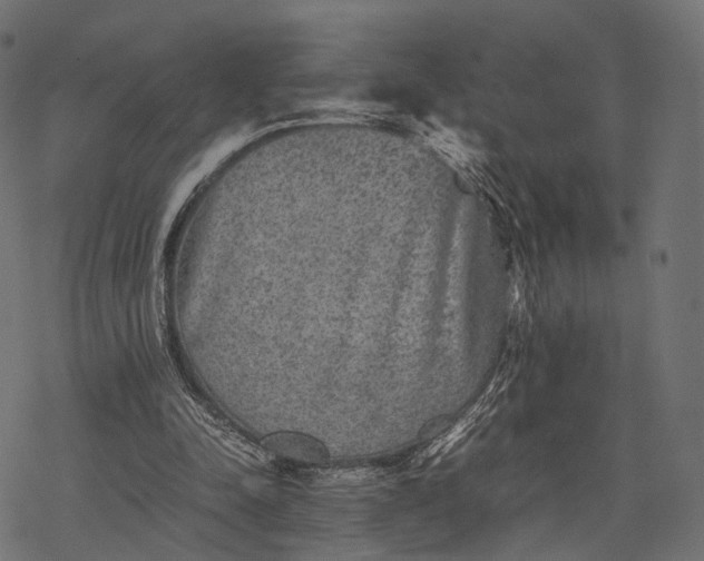 X0000077290342200611031556