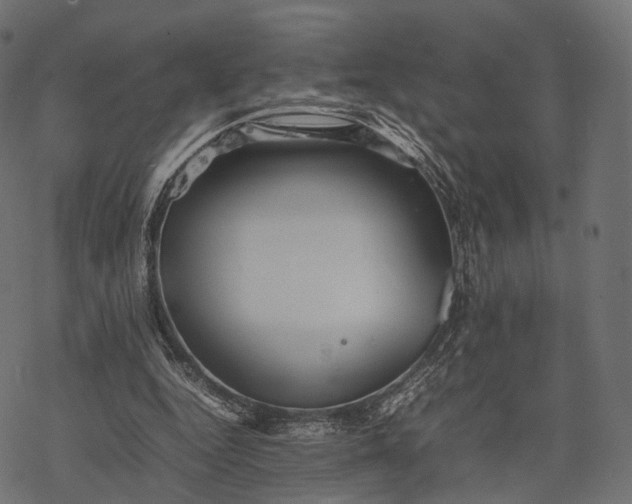 X0000077290344200611031556