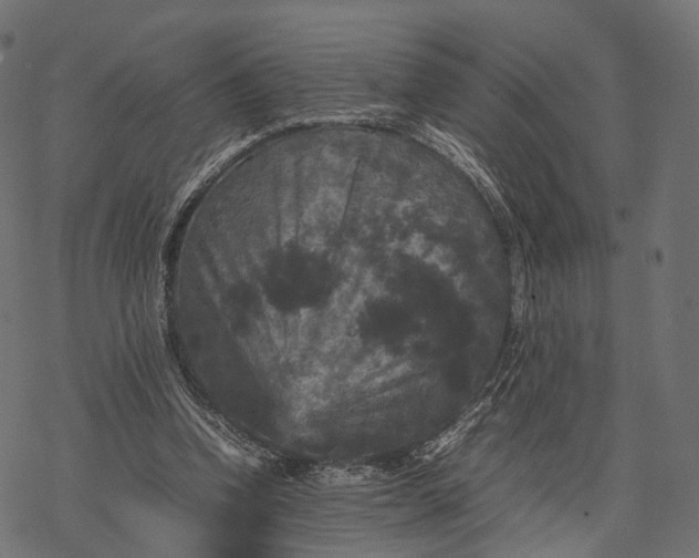 X0000077290346200611031556