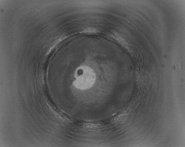 X0000077290347200611031556