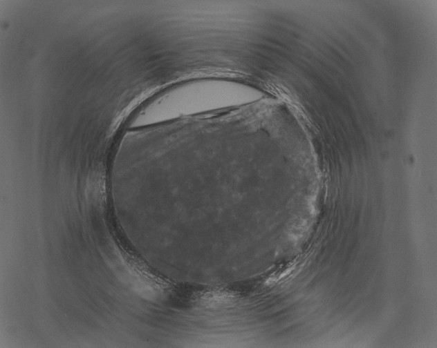 X0000077290348200611031556