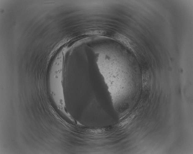 X0000077290349200611031556