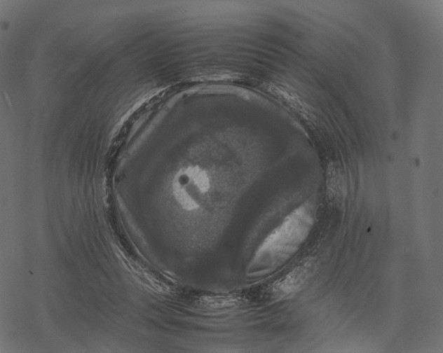 X0000077290351200611031556