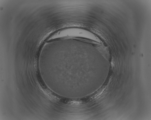 X0000077290352200611031556