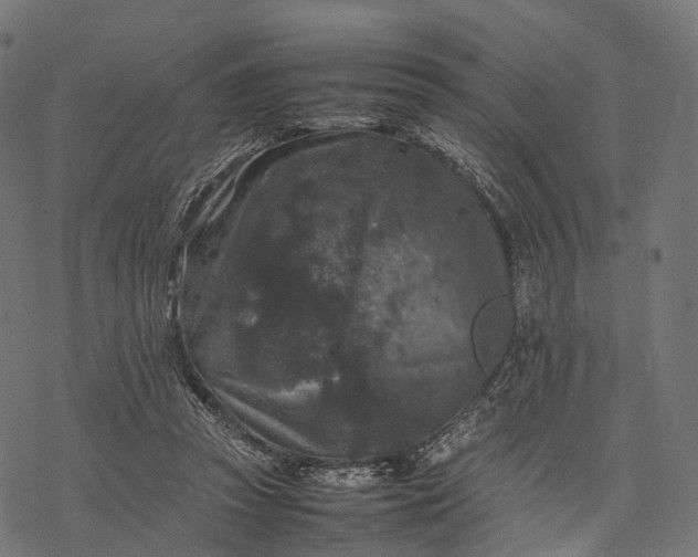 X0000077290353200611031556