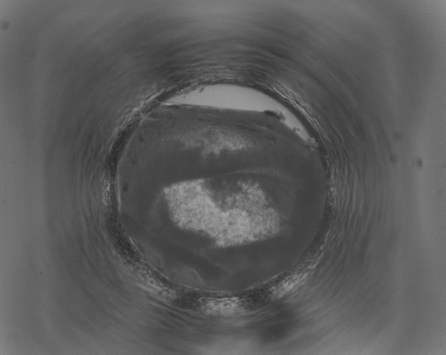 X0000077290355200611031556