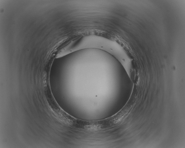 X0000077290356200611031556