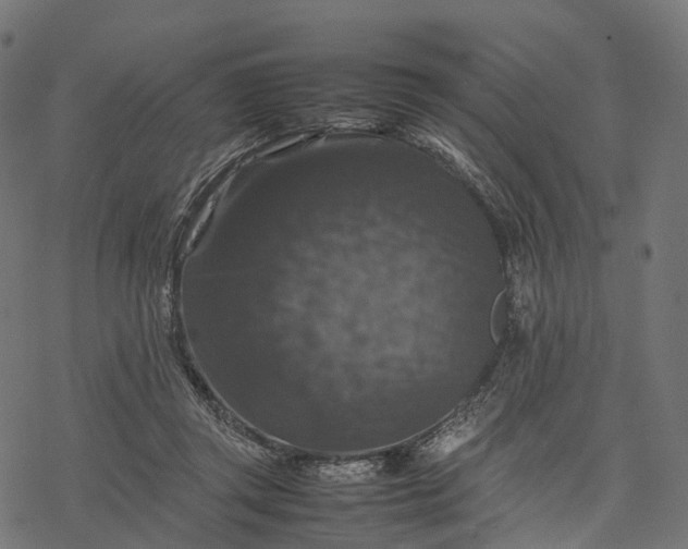 X0000077290357200611031556