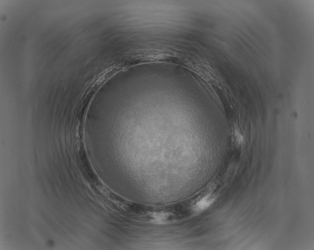 X0000077290360200611031556