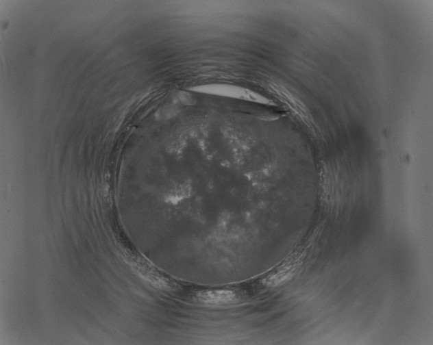 X0000077290361200611031556