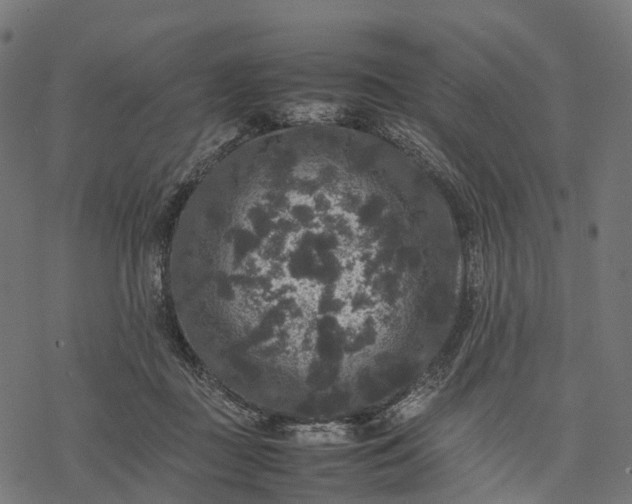 X0000077290363200611031556