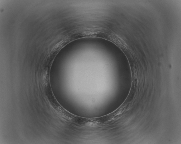 X0000077290364200611031556