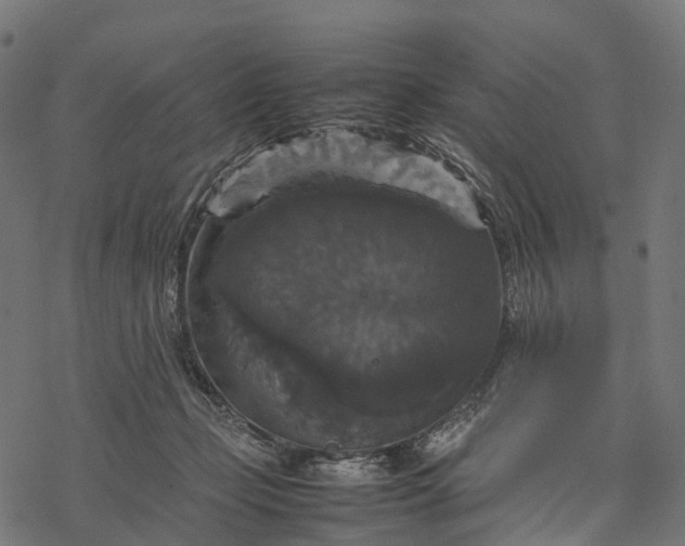 X0000077290365200611031556