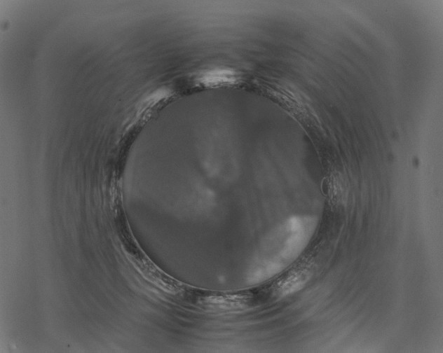 X0000077290367200611031556