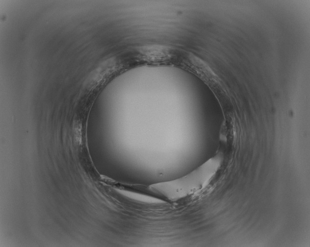 X0000077290368200611031556