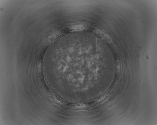 X0000077290369200611031556