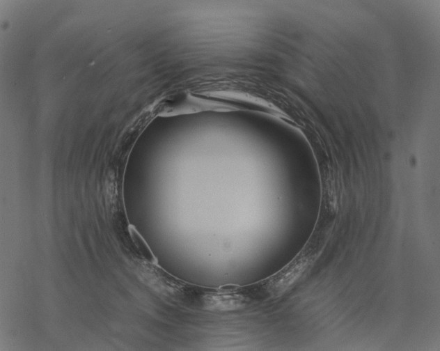 X0000077290372200611031556