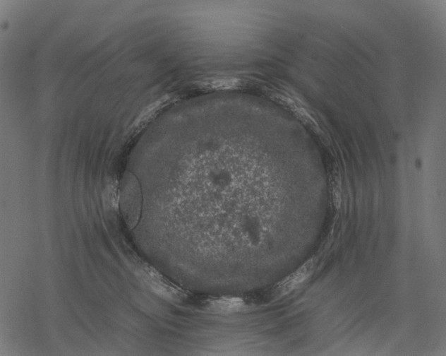 X0000077290374200611031556