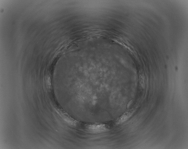 X0000077290375200611031556