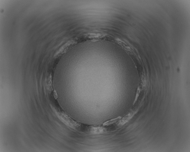 X0000077290376200611031556