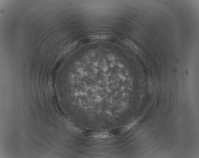 X0000077290377200611031556