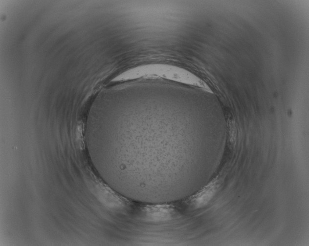 X0000077290378200611031556