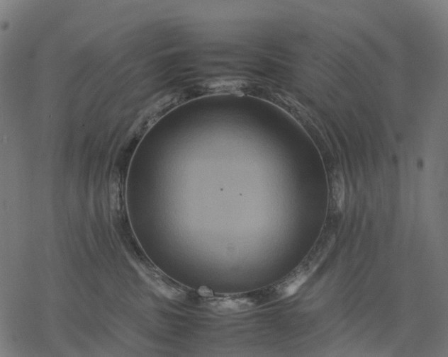 X0000077290379200611031556