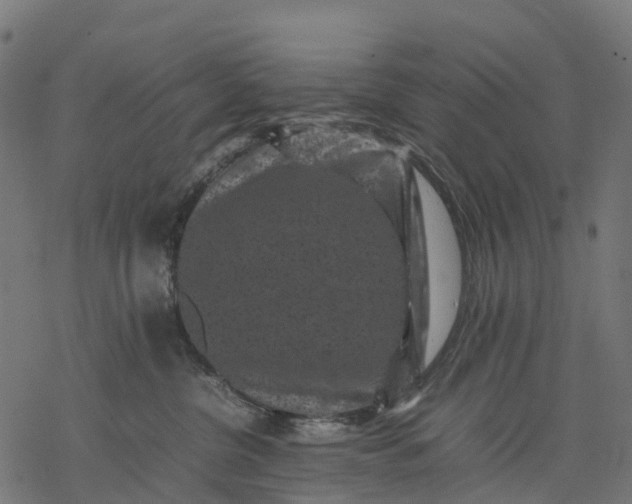 X0000077290380200611031556