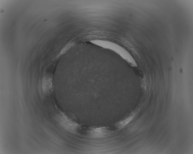 X0000077290382200611031556