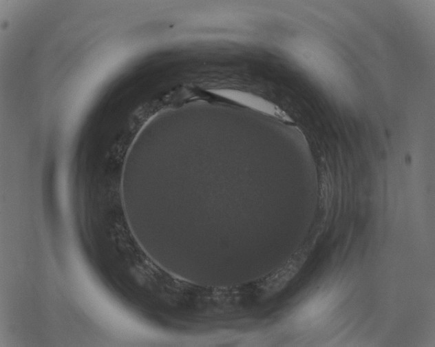 X0000077290383200611031556