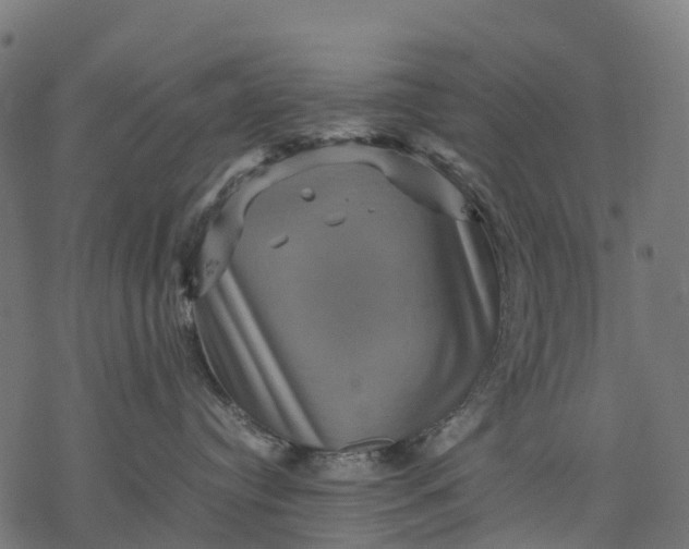 X0000077290384200611031556