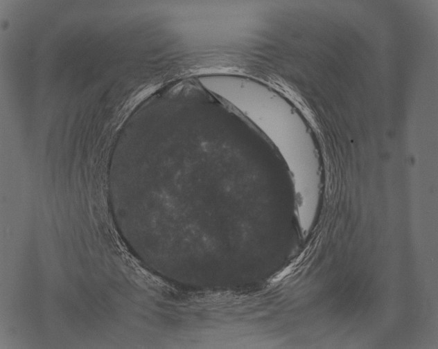 X0000077290385200611031556