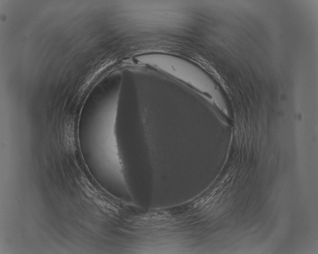 X0000077290386200611031556