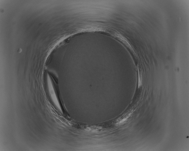 X0000077290387200611031555