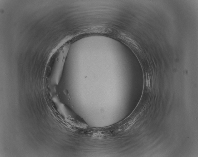 X0000077290388200611031555