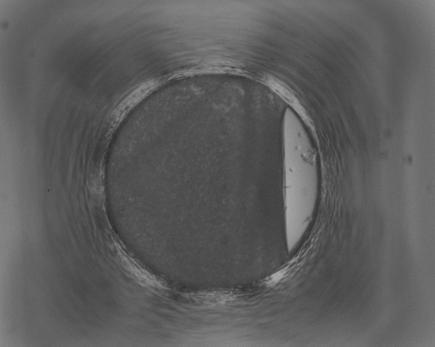 X0000077290389200611031555