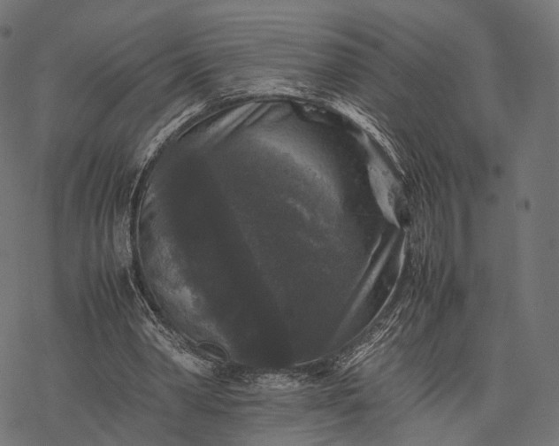 X0000077290390200611031555