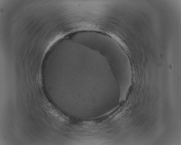 X0000077290391200611031555