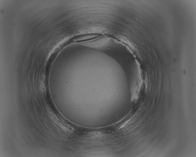 X0000077290392200611031555