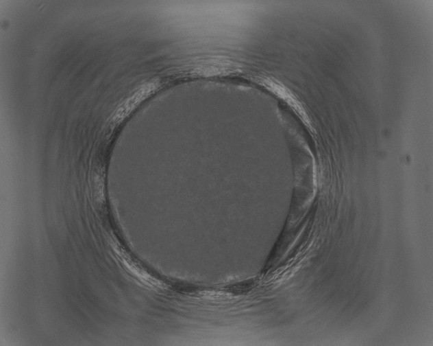 X0000077290393200611031555