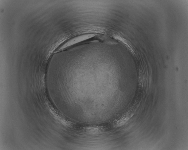 X0000077290394200611031555