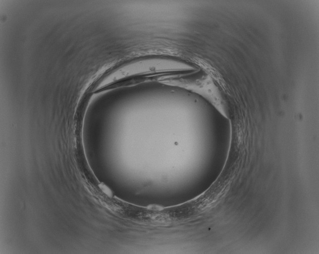 X0000077290395200611031555