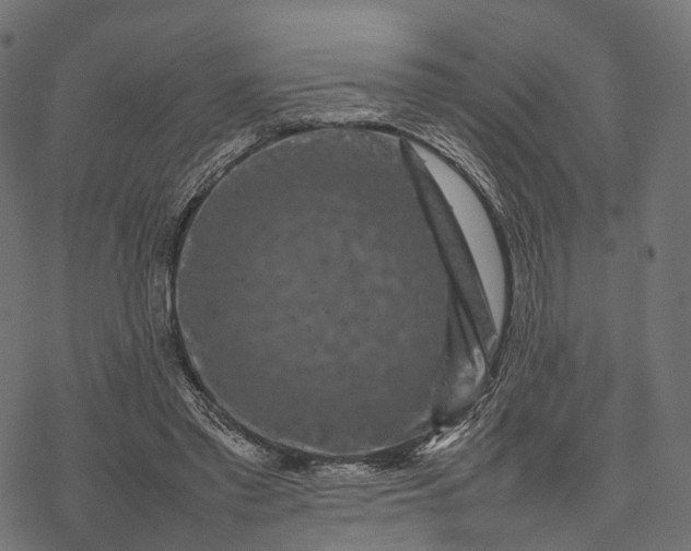 X0000077290397200611031555